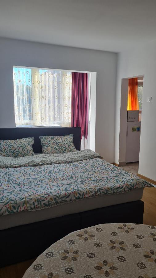 Studio Chic Symphony Parcare Privata Arad Kültér fotó